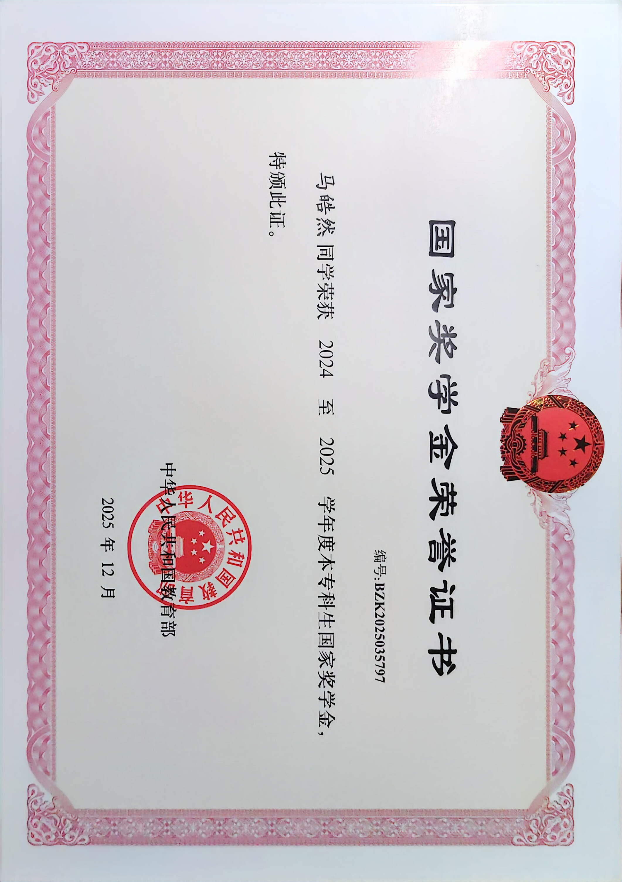 国家奖学金荣誉证书